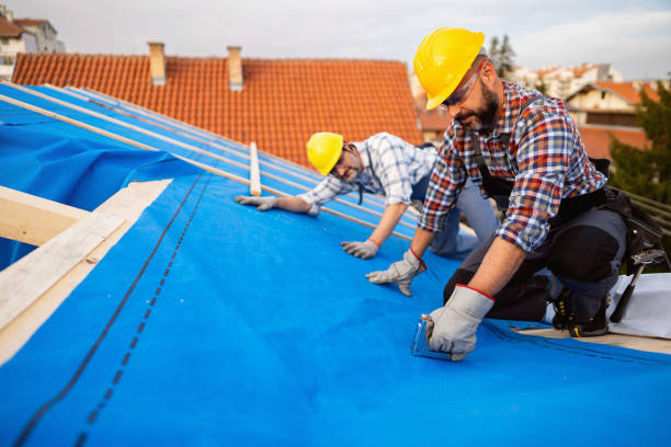 Roof Gutter Cleaning in Shrewsbury, MO