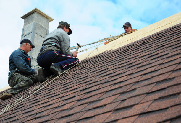 Best Metal Roofing Contractor  in Shrewsbury, MO